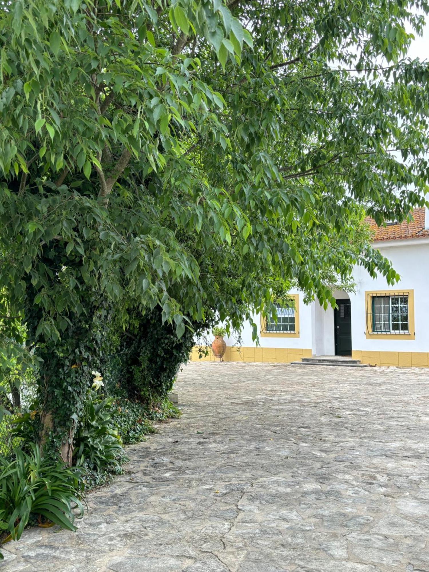 Вилла Casa Da Nogueira Томар Экстерьер фото